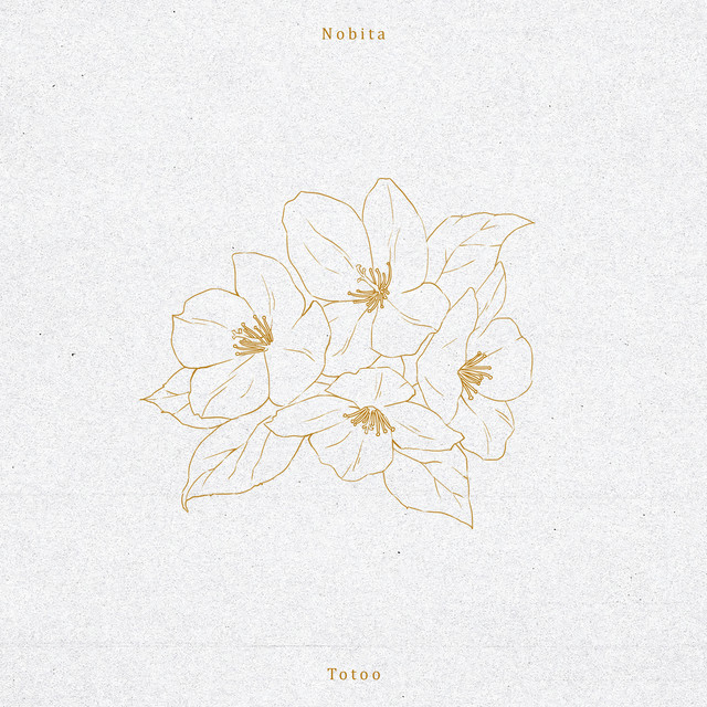 Totoo cover art