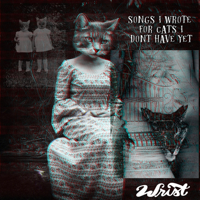 Songs I Wrote for Cats I Don't Have Yet cover art
