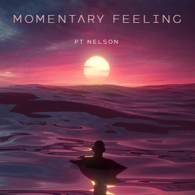 Momentary Feeling cover art