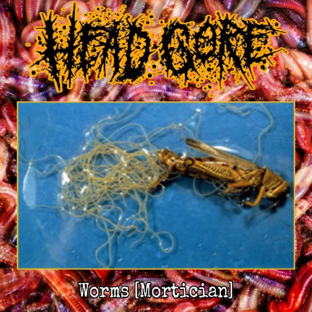 Worms cover art