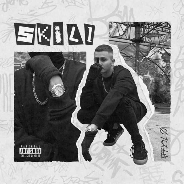 Обкладинка: SKILL — Fablo
