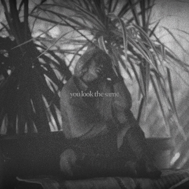 you look the same cover art