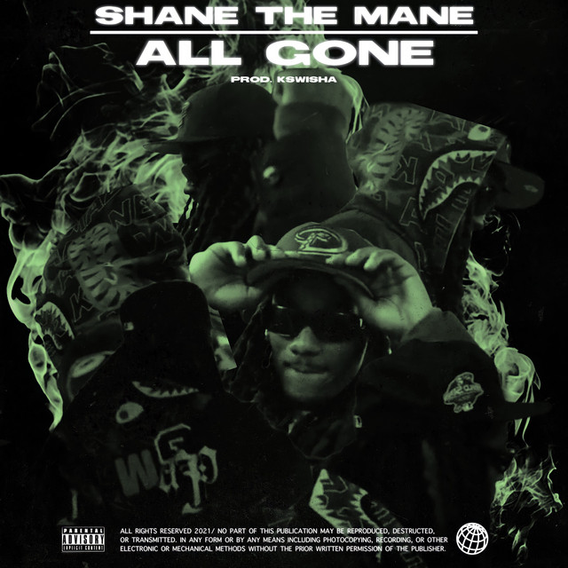 All Gone - Single by Shane the Mane | Spotify