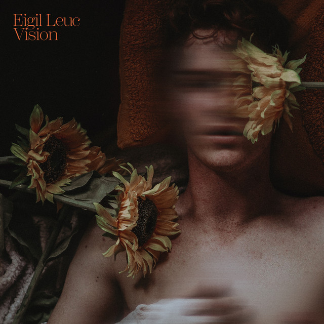 Vision cover art