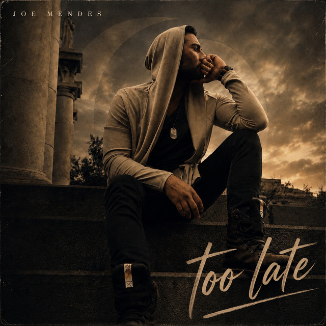 Pochette du titre Too Late