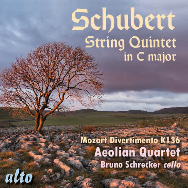 Schubert: String Quintet in C Major, D. 956 Op. 163 & Mozart: Divertimento in D Major, K. 136 cover art