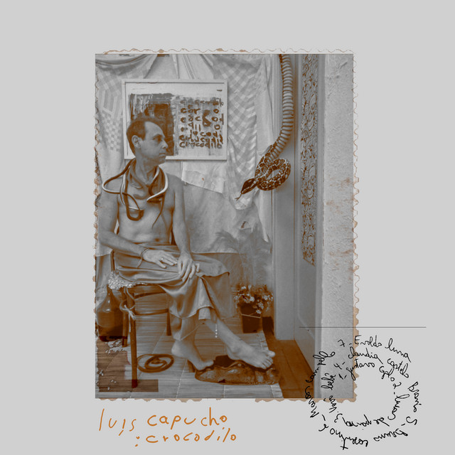 Crocodilo cover art