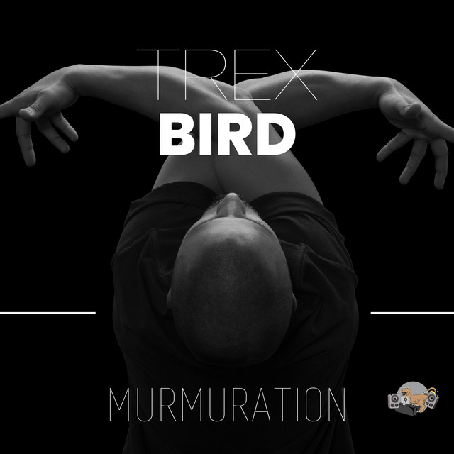 BIRD (Short Version) cover art