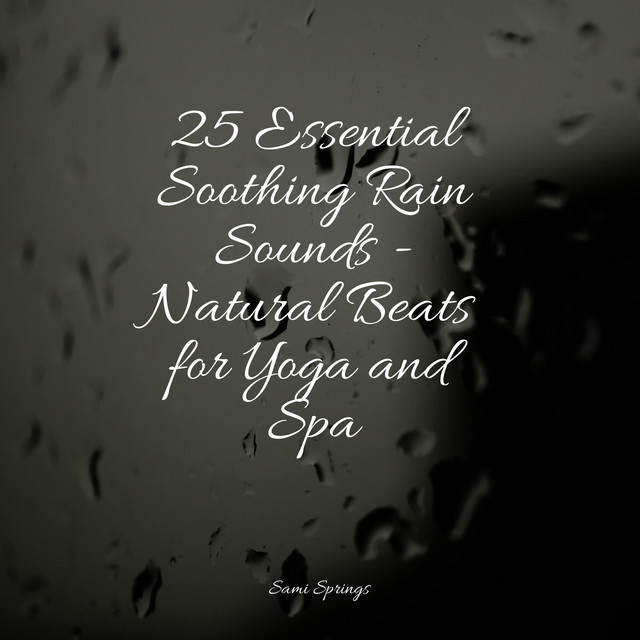 25 Essential Soothing Rain Sounds - Natural Beats for Yoga and Spa ...