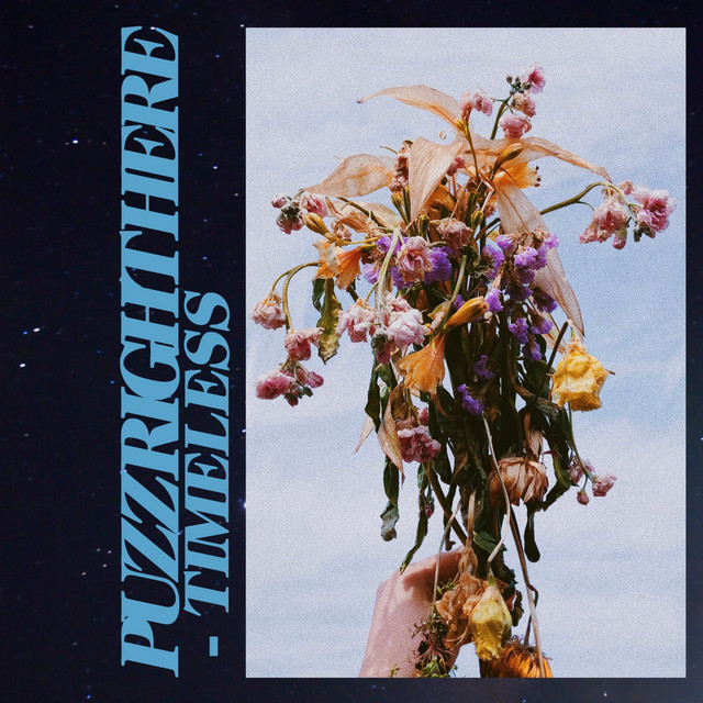 TIMELESS cover art