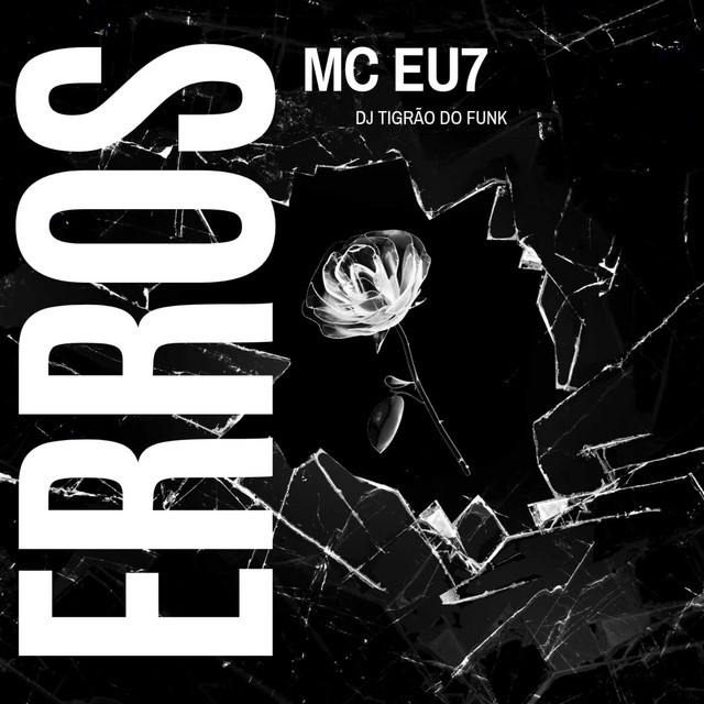 Erros