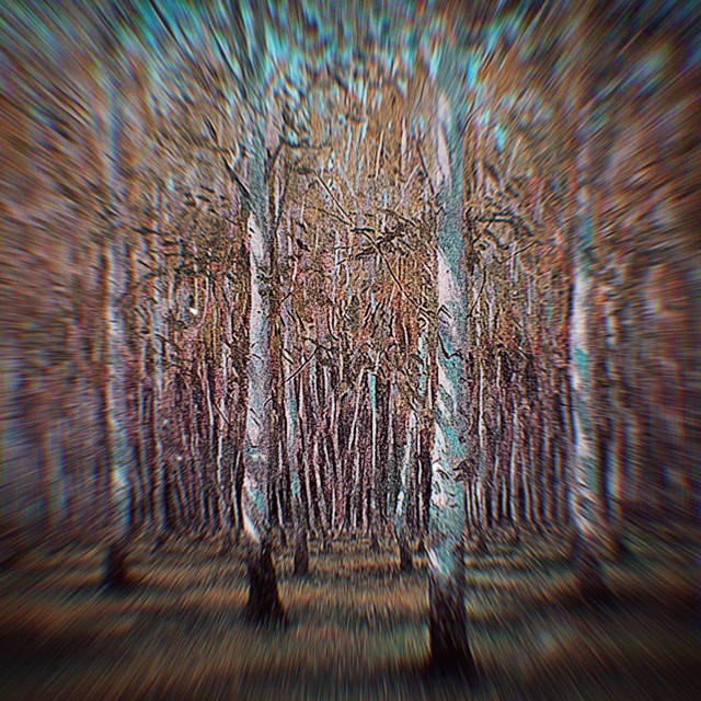 SEM TI