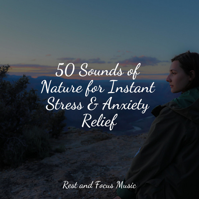 50 Sounds of Nature for Instant Stress & Anxiety Relief - Album by ...