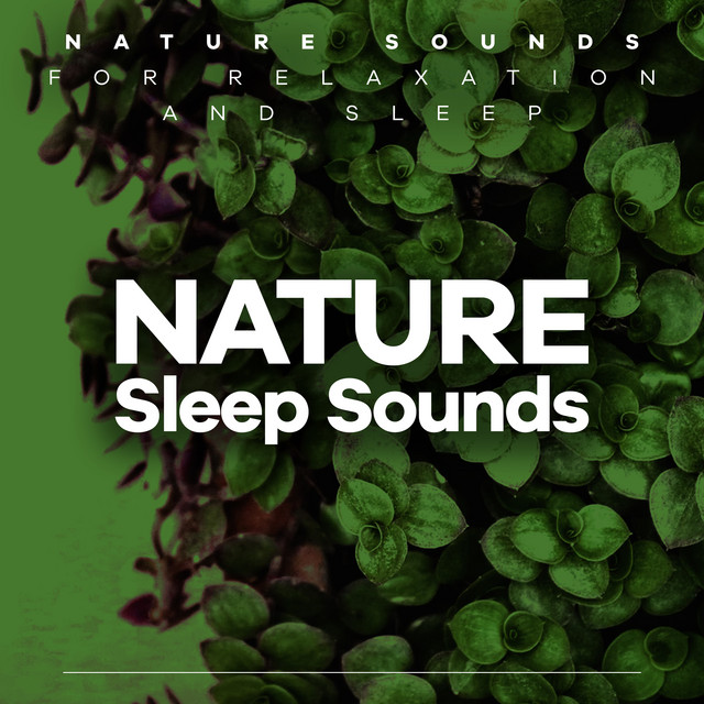 Nature Sleep Sounds - Album by Nature Sounds for Relaxation and Sleep ...