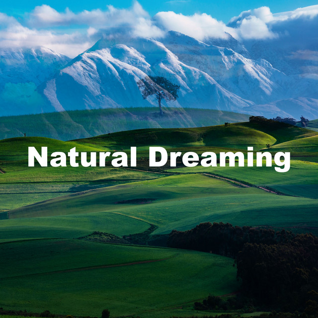 Natural Dreaming - Album by Deep Sleep Nature Sounds | Spotify