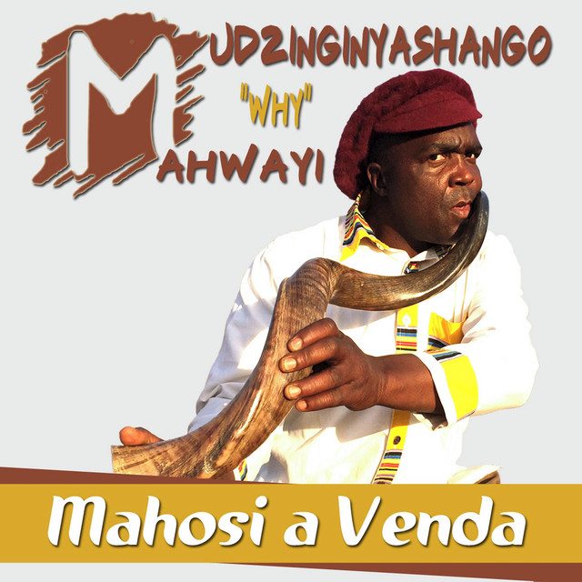 Mudzinginyashango Why Mahwayi