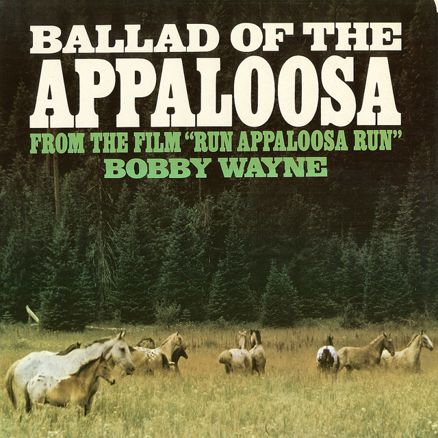 Ballad Of The Appaloosa cover art