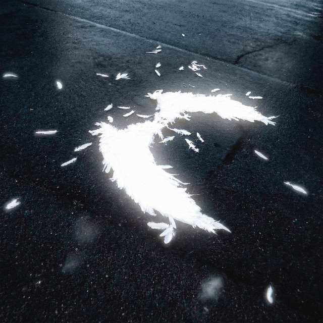 angel's tears cover art