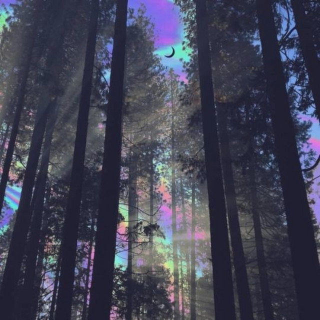 Nights Get Cold cover art