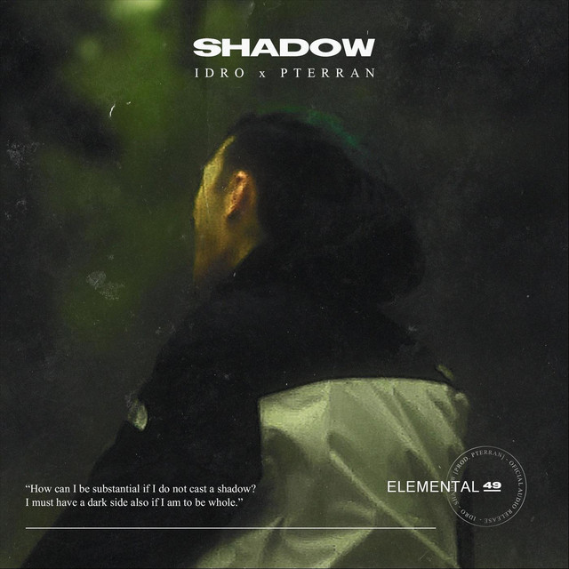 Shadow cover art