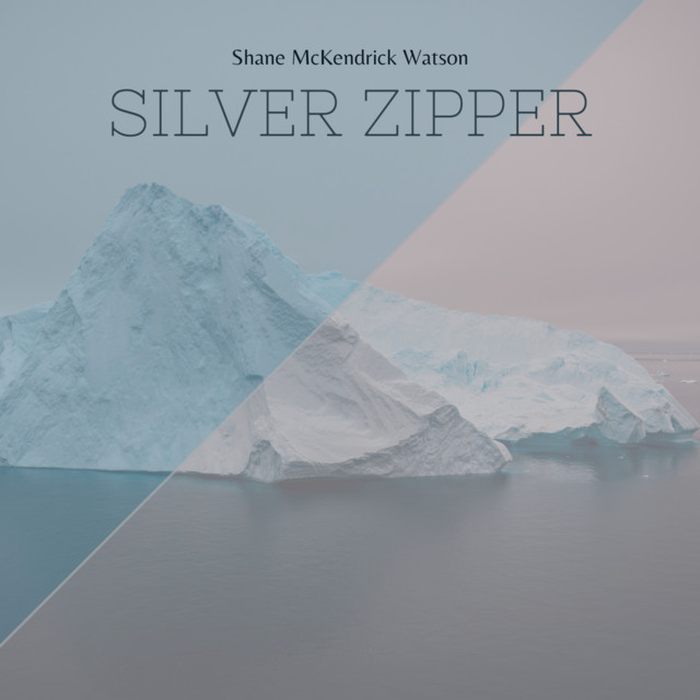 Silver Zipper cover art
