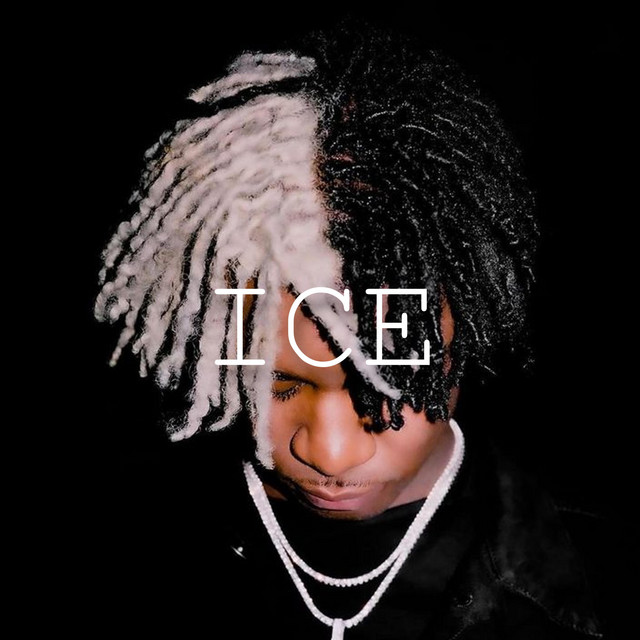 Ice cover art
