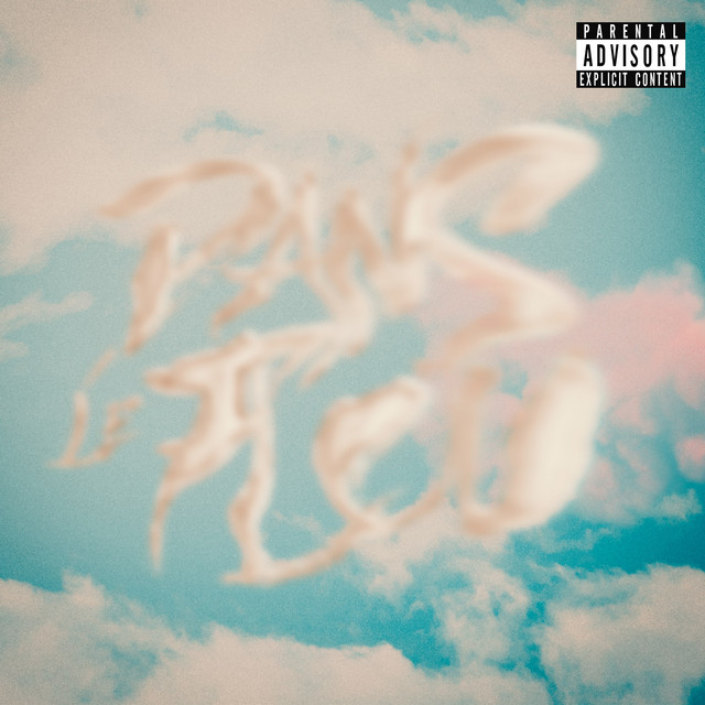 Dans le flou cover