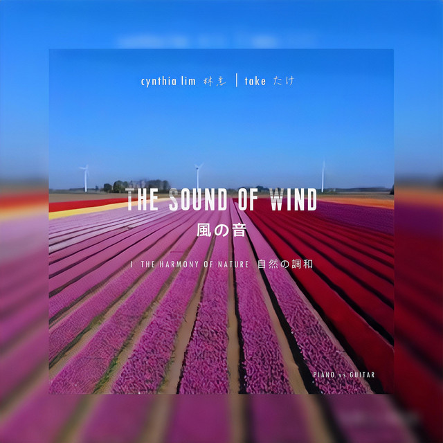 The Sound Of Wind - Grand Piano vs. Acoustic Guitar