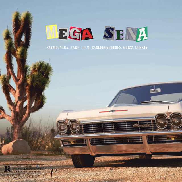 Mega Sena cover art