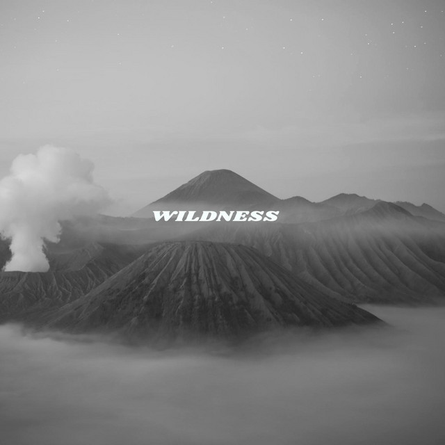 WildNess cover art