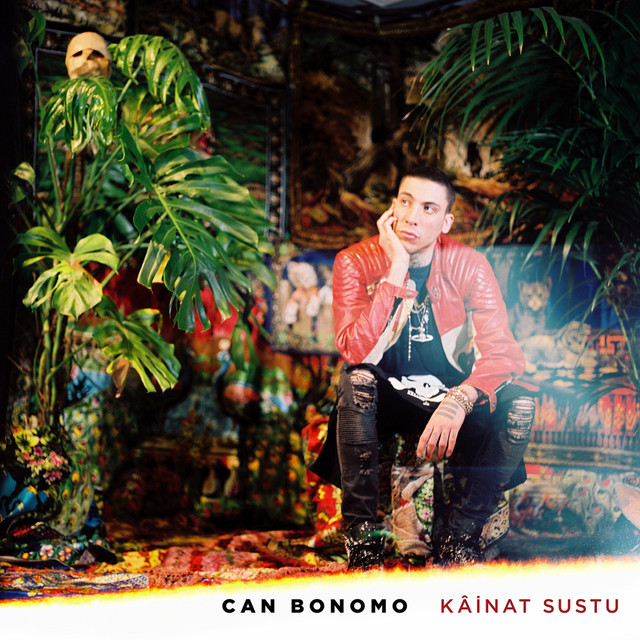 Kâinat Sustu cover art