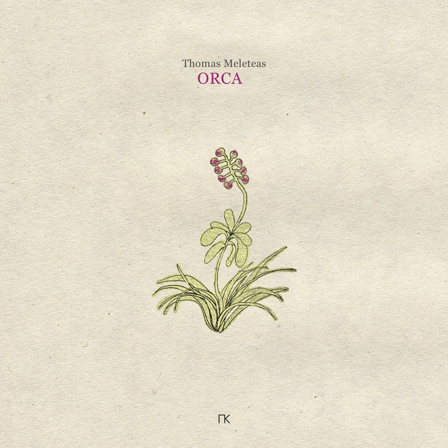 Orca album image