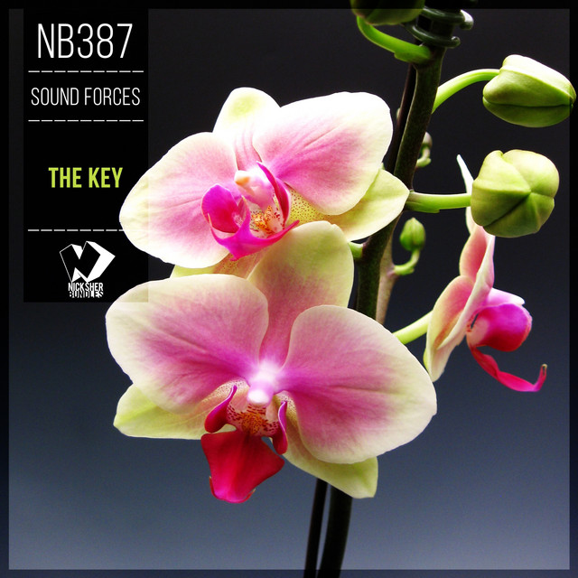 The Key cover art