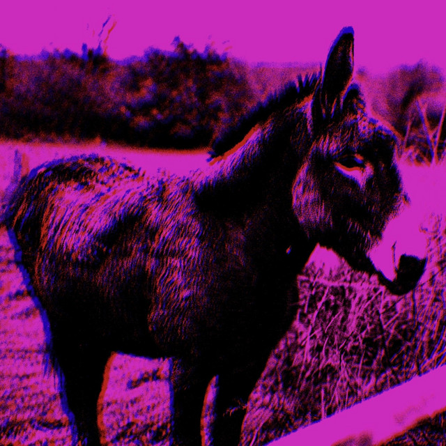 European Fever Dream (Live in Europe, December 2024) cover art