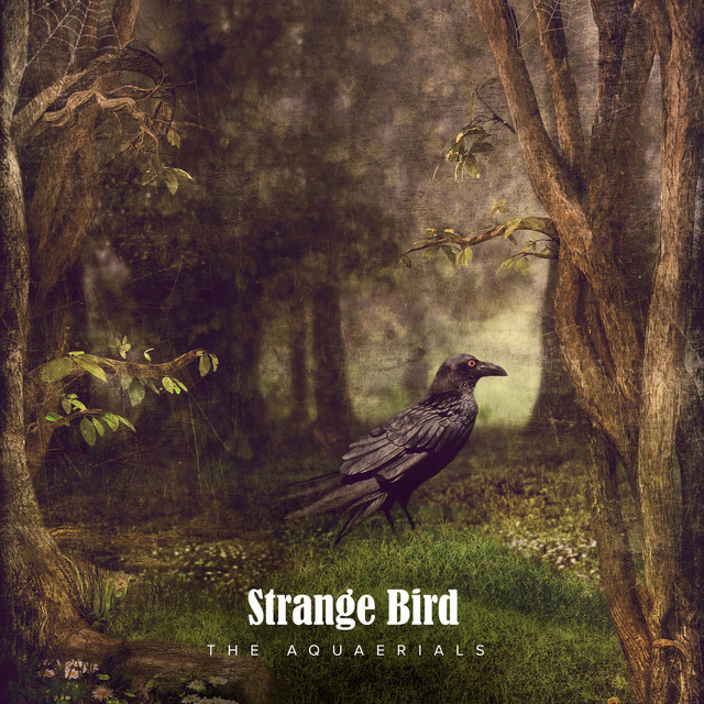 Strange Bird (single)