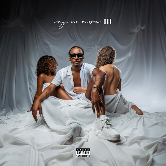 Say No more 3 (Album) by Pusso album cover