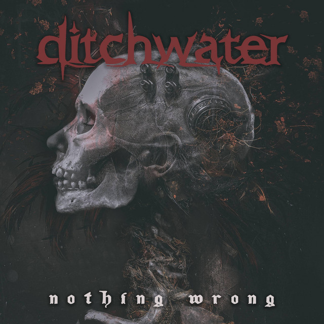 Nothing Wrong cover art