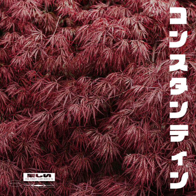 Acer cover art