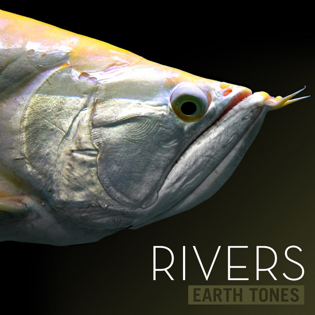 Earth Tones: Rivers cover art