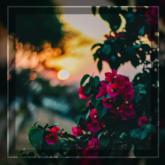 Puzzled cover art