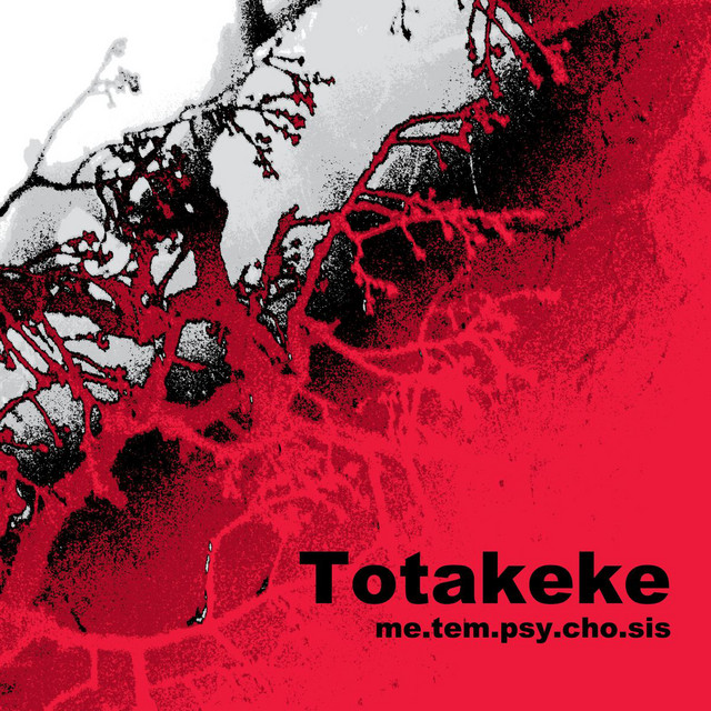 Me.Tem.Psy.Cho.Sis cover art