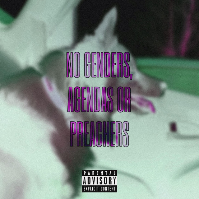 NO GENDERS, AGENDAS OR PREACHERS cover art
