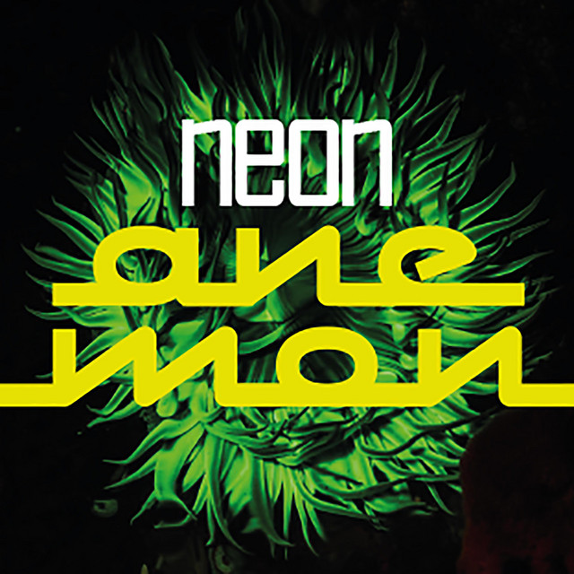 Neon Anemon