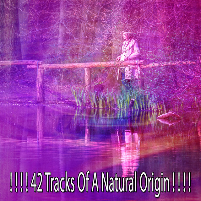 ! ! ! ! 42 Tracks Of A Natural Origin ! ! ! ! cover art