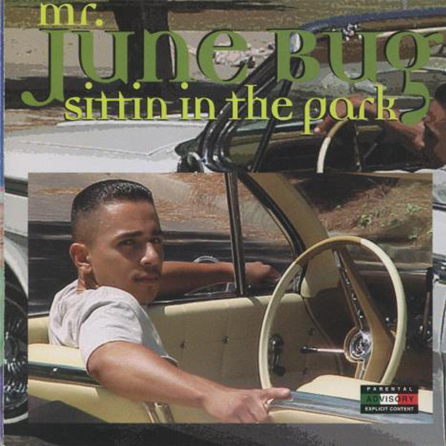 Sittin' In The Park cover art