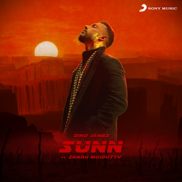 Sunn cover art