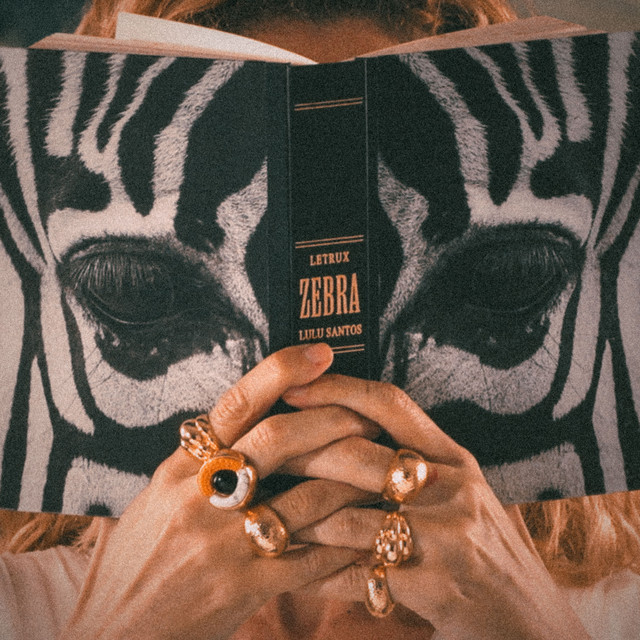 Zebra by Lulu Santos
