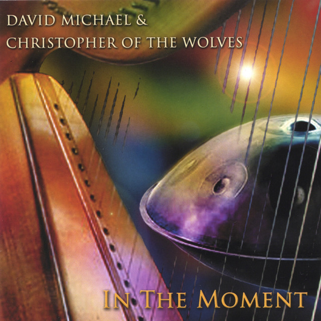 In The Moment cover art