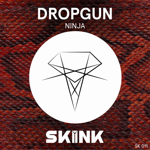 Ninja cover art