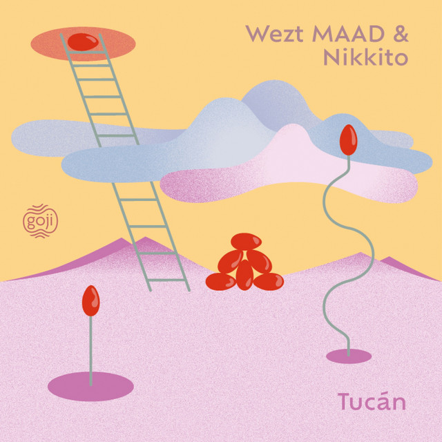 Tucán cover